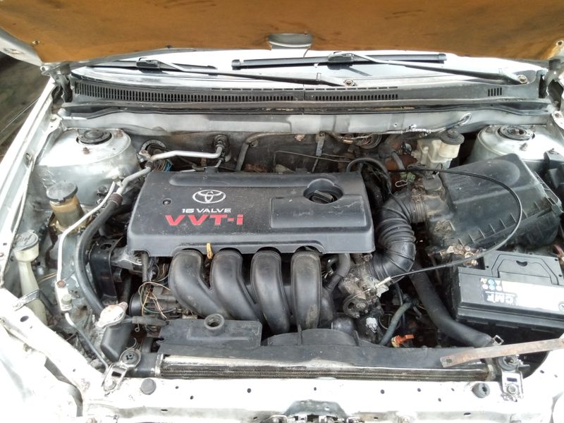 Thumbnail 3 of 2004 Toyota Corolla Sports